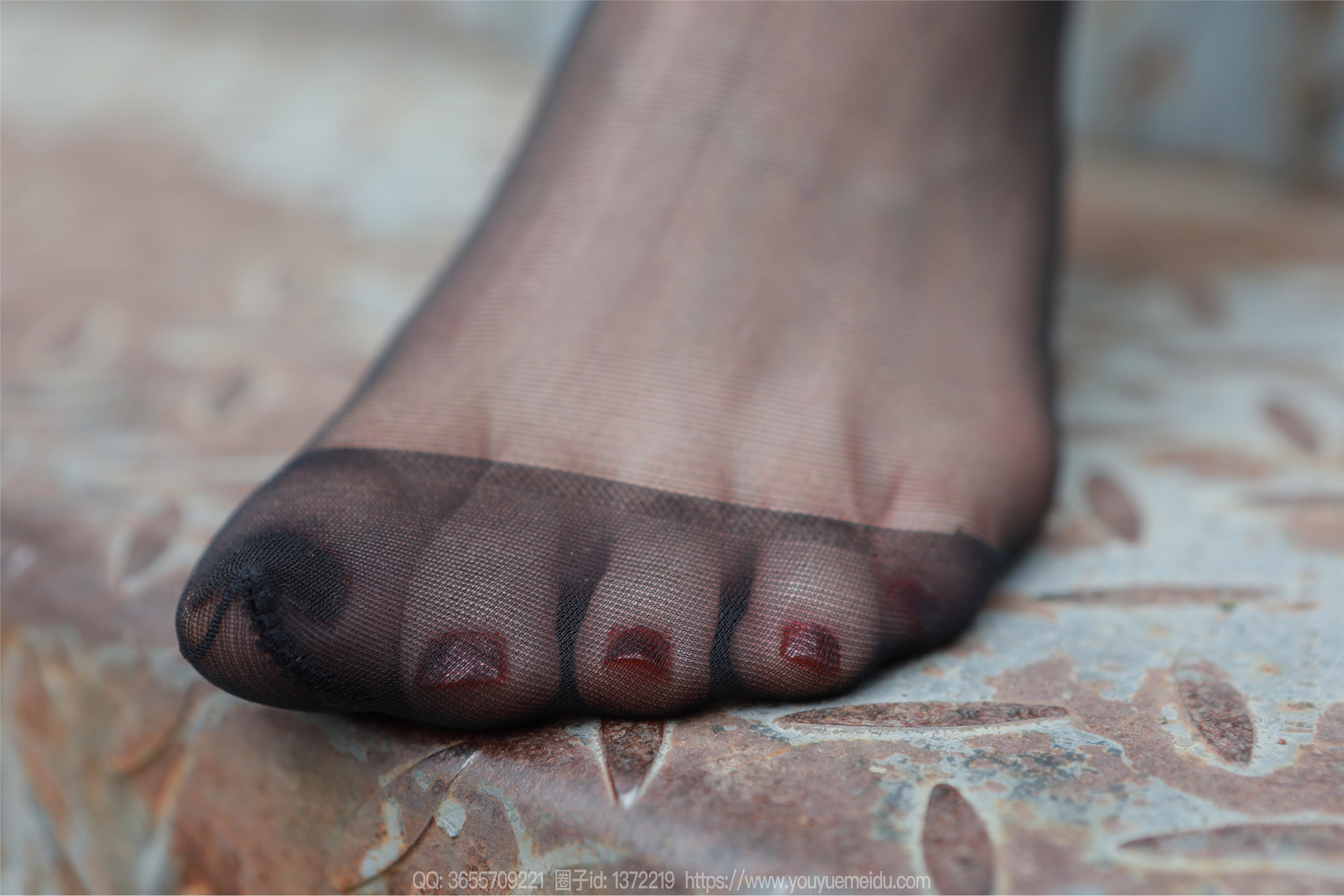 IESS异思趣向  2025.01.28 丝享家 1962 团团《恭喜发财（上） 除夕快乐》